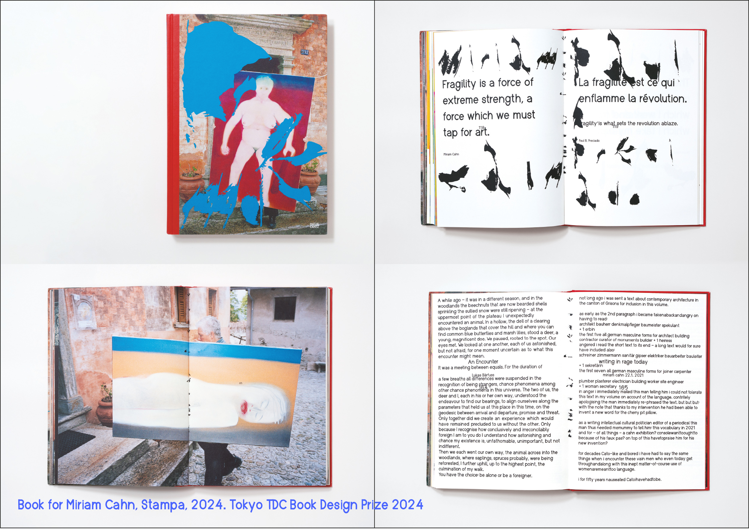 FREMD das fremde Miriam Cahn Book